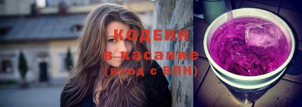 дживик Богородск