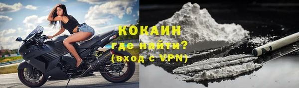 дживик Богородск