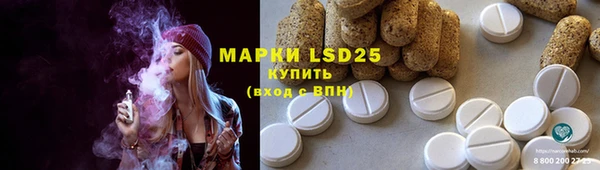 стаф Сясьстрой