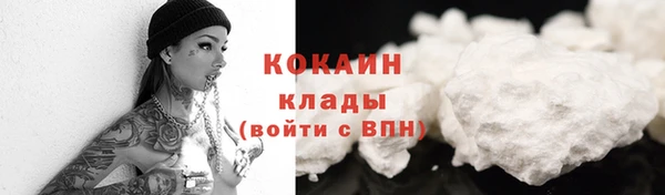 дурь Тайга
